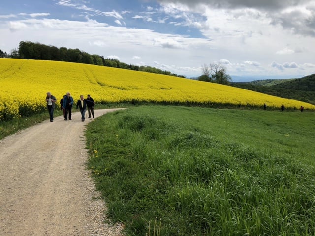 45 Min. Wanderung zum Cheisacher Turm