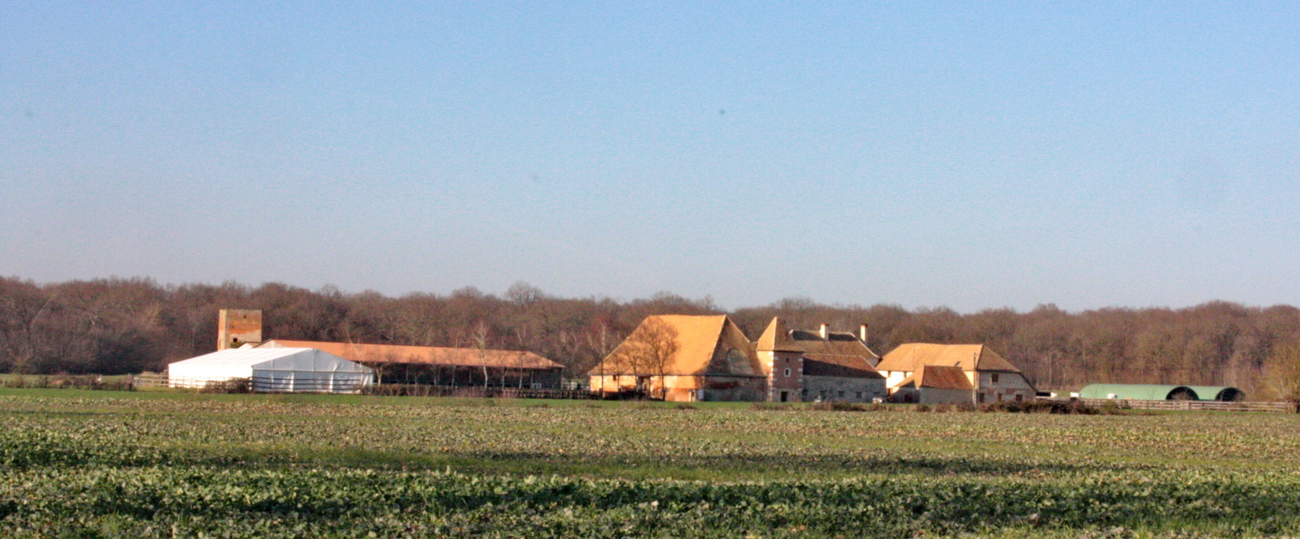 Écurie Bruno GAREZ à proximité de Chalon sur Saône