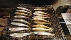 天然本もろこ塩焼き