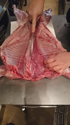 40センチのウリボー