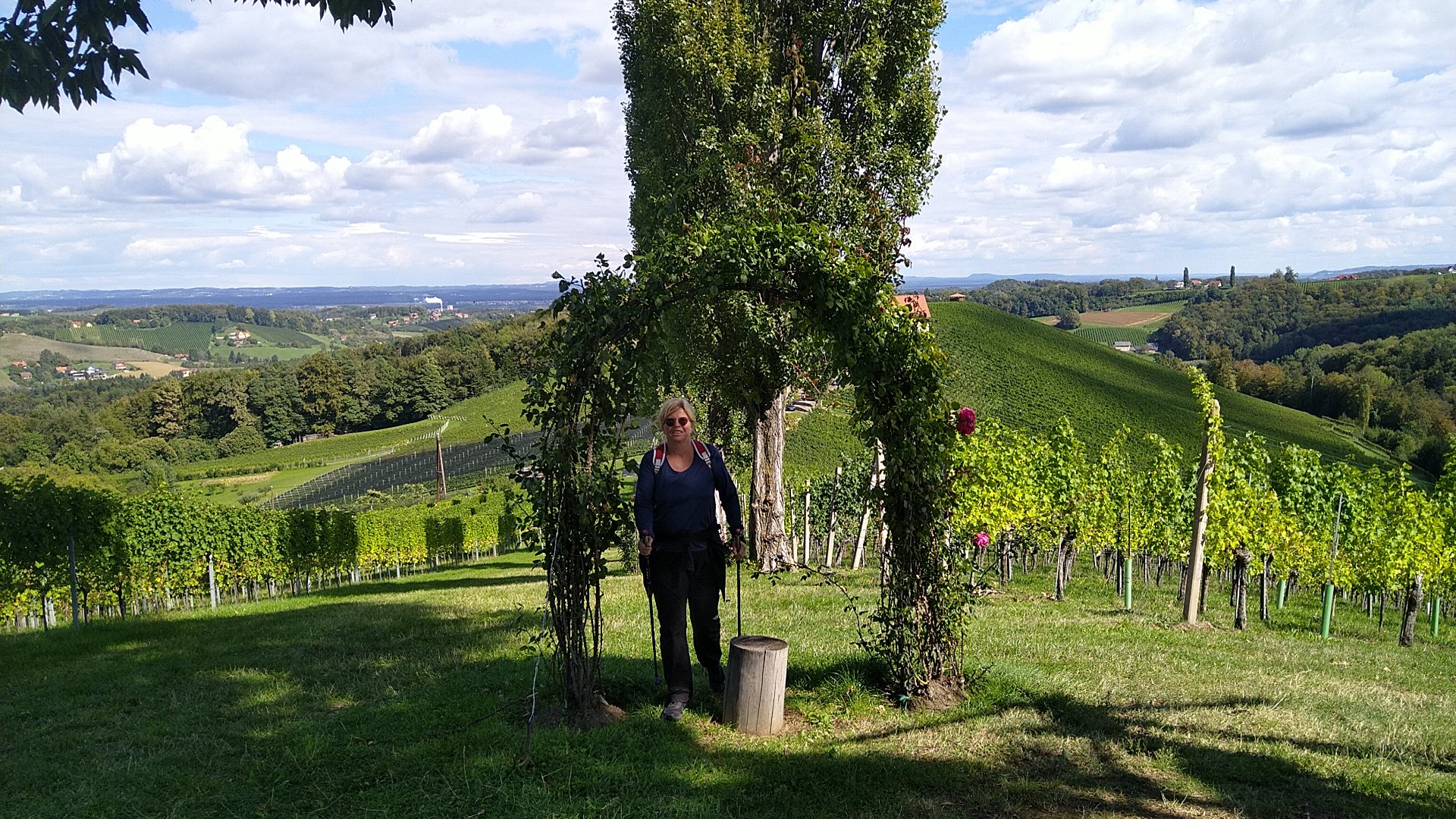 Weinwandern in der Südsteiermark