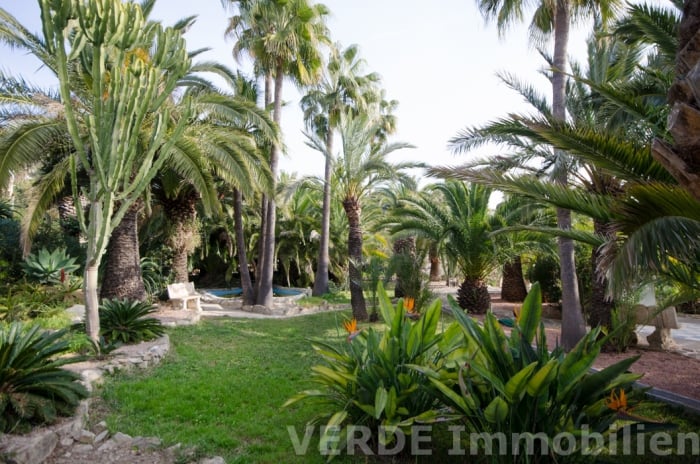 Parkgrundstück (Baulandreserve)