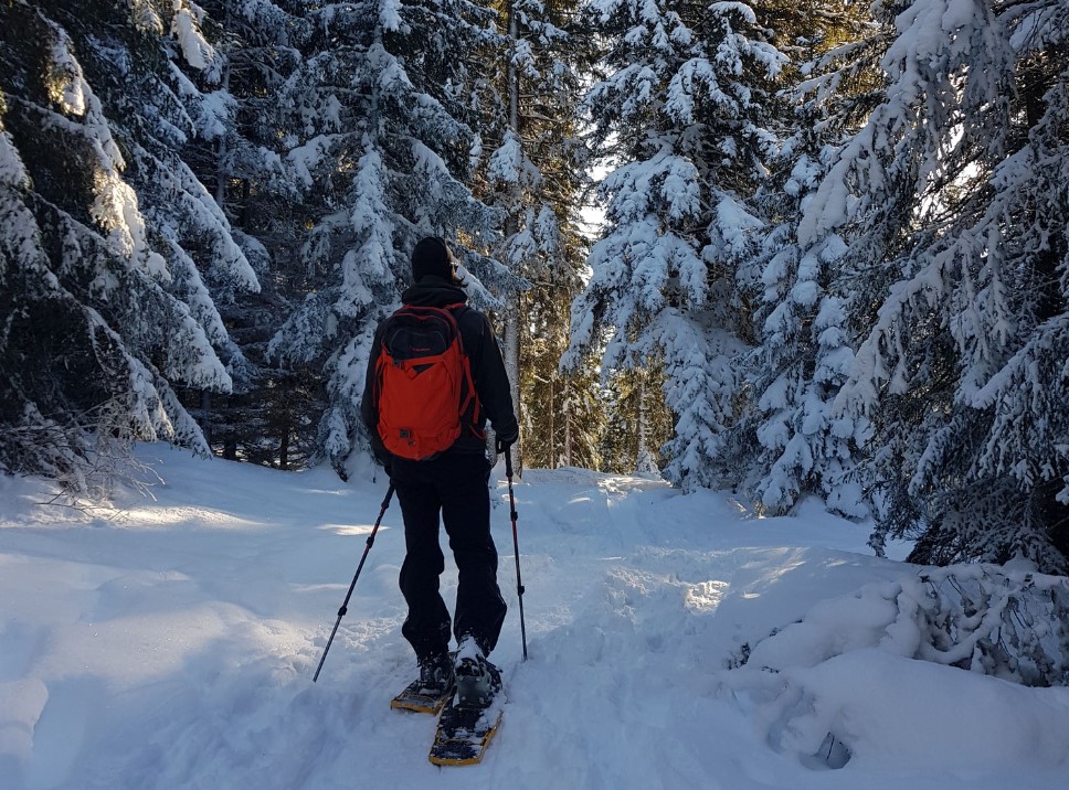 Schneeschuh: Lenzerheide - Lenz (7.5km / 270HM)