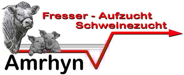 martin-und-stephanies Webseite!