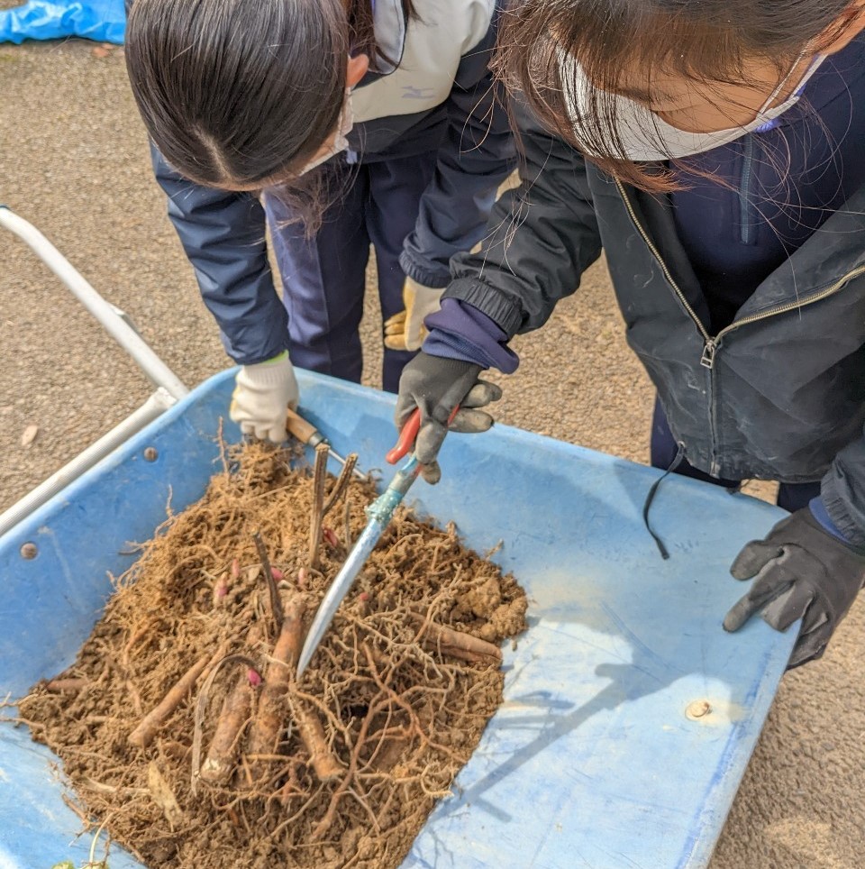トライやる　３日目