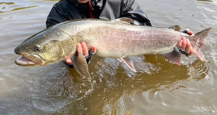 オーダーメイドロッド　ミウラデザイン　イトウ