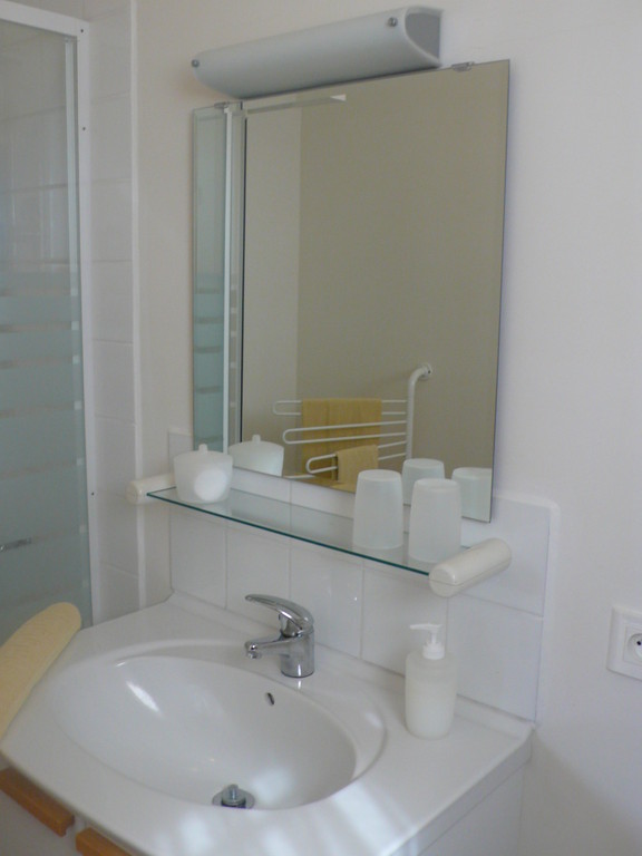 Salle d'eau: lavabo, douche et WC.