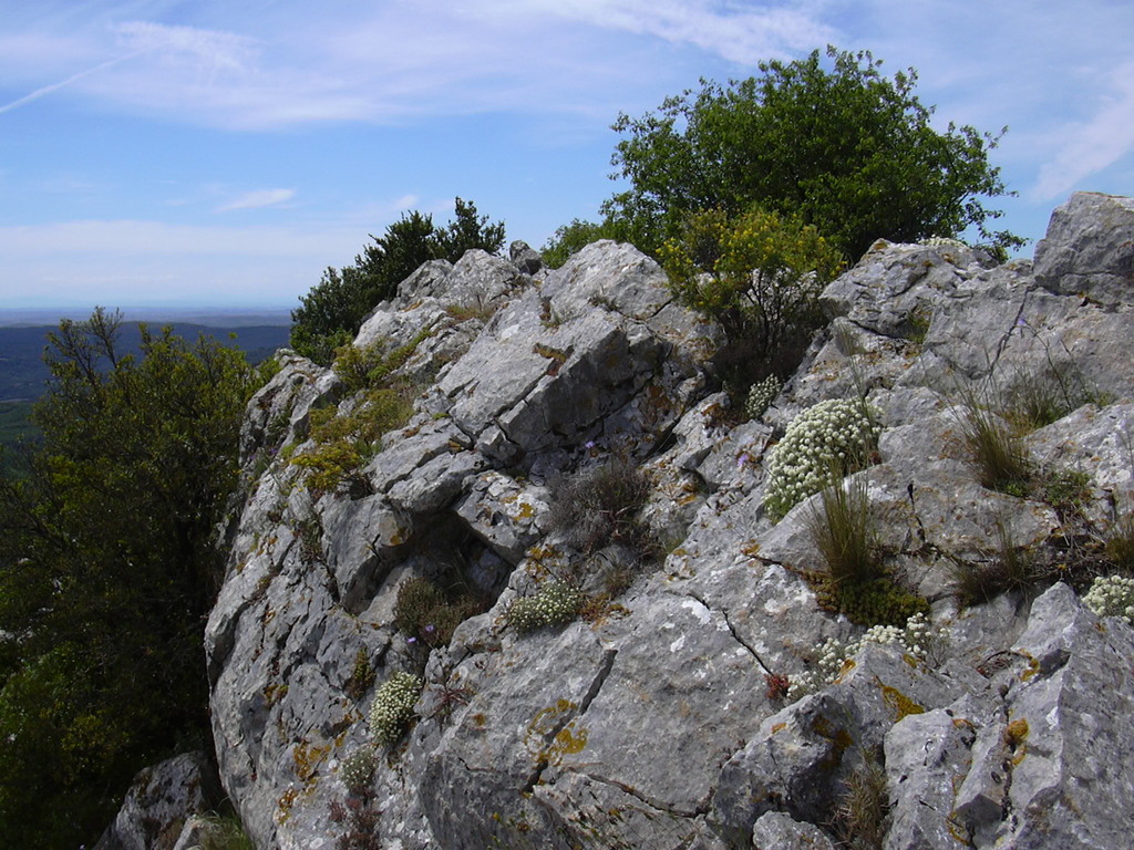 Au sommet du Pic de Vissou à Cabrières