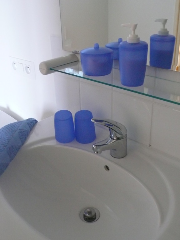 Salle d'eau: lavabo, douche et WC.