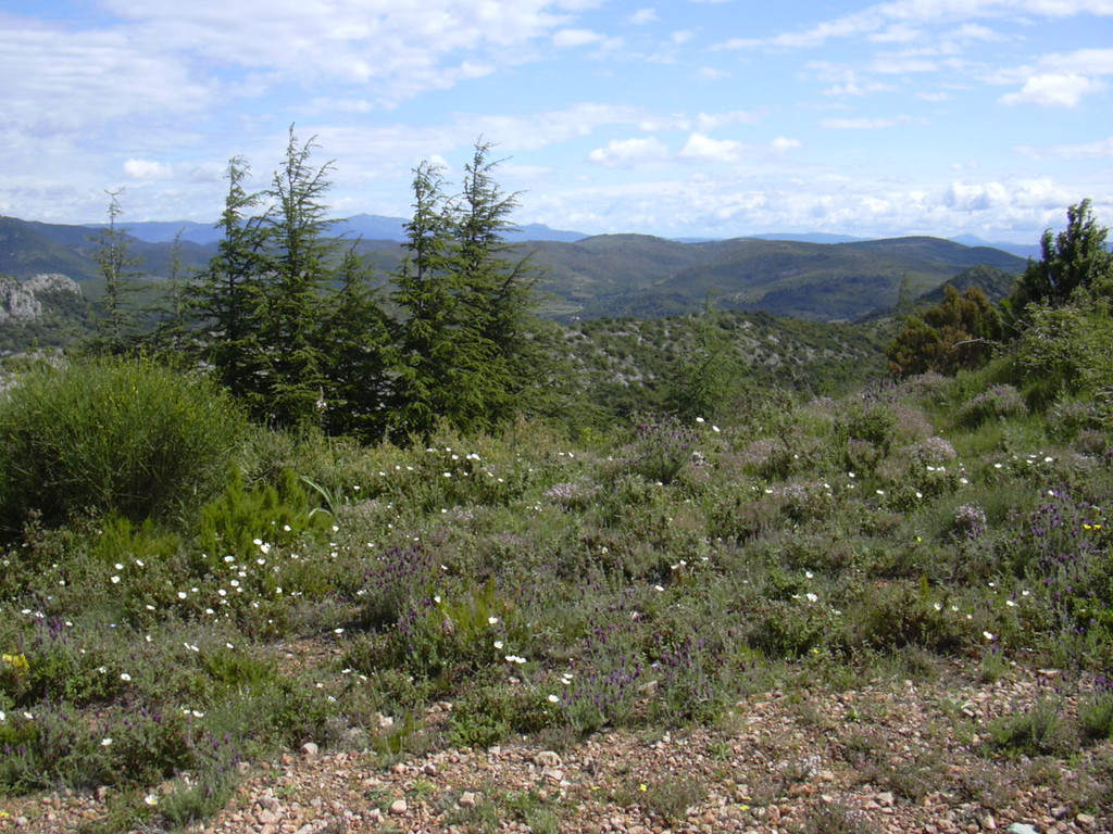 Balade à Cabrières - 2