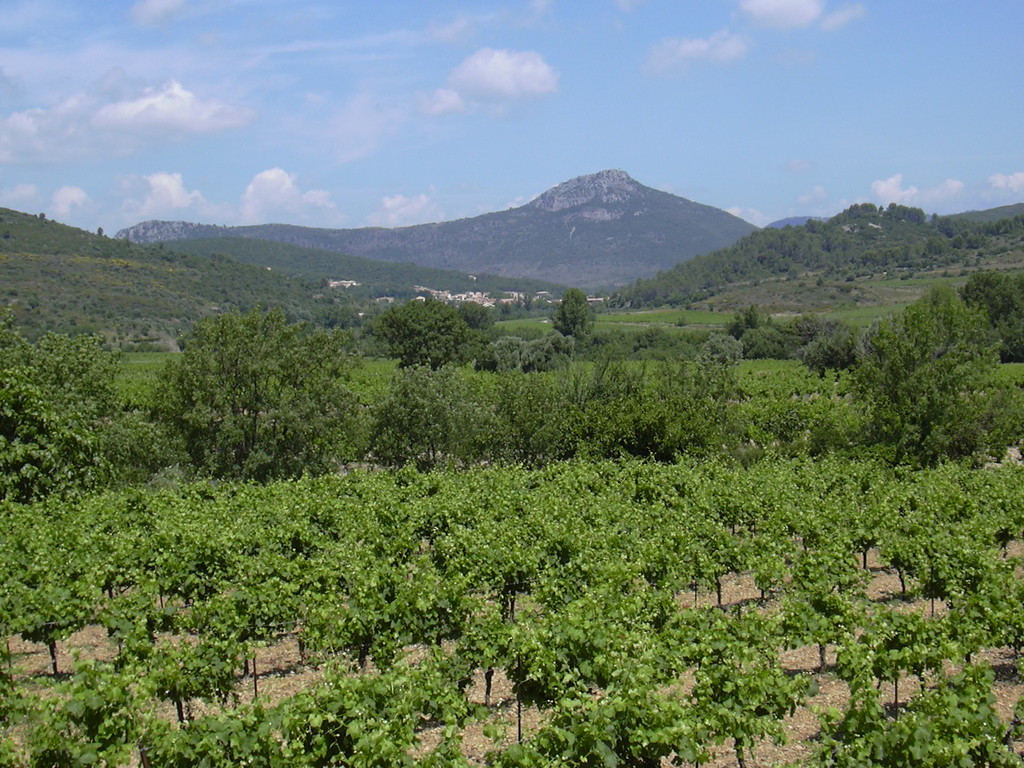 Cabrières en Languedoc Sud de France