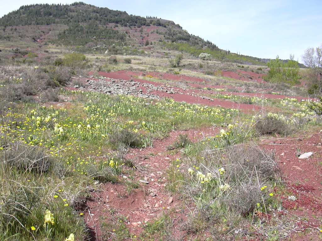 Circuits VTT et randonnées pédestres autour du Lac du Salagou