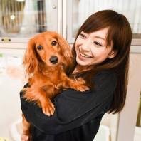 ペットショップが保健所と提携