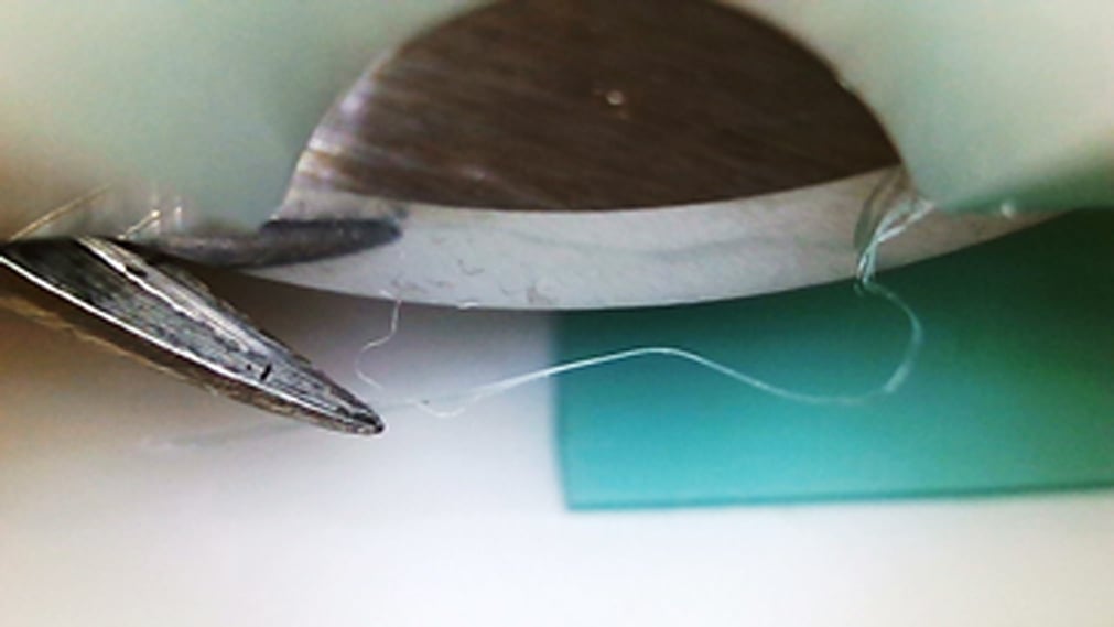 Close-Up of Cut Film