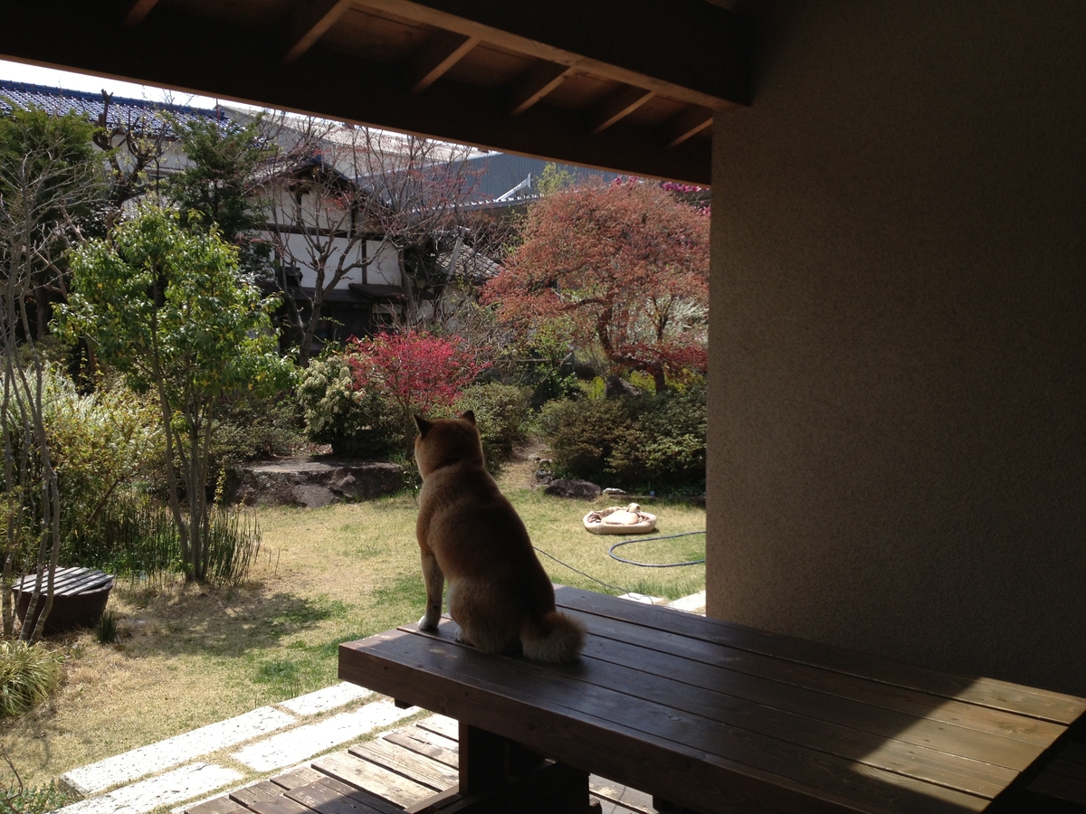 カフェあくら(松本市)－カフェ部分インナーデッキ