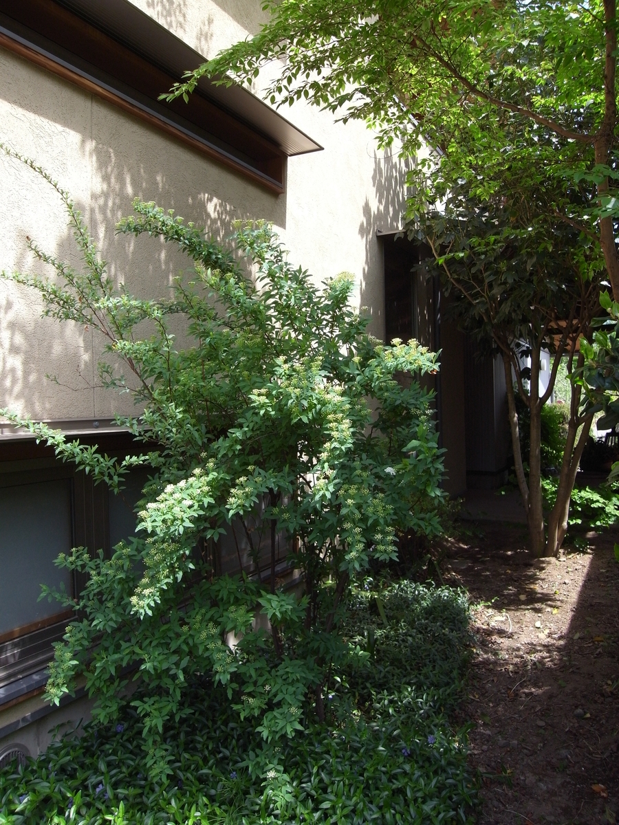 波田の家(松本市)－外観アプローチ