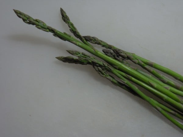 アスパラガス　農業