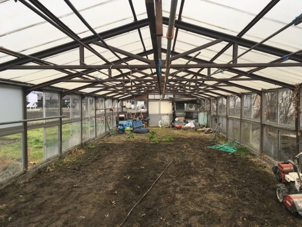 ハウス　農作業