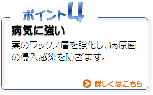 ポイント４病気に強い