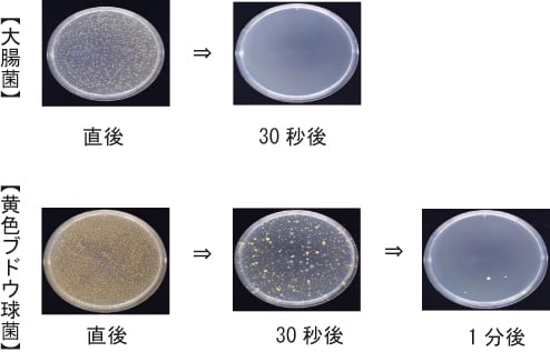 除菌試験・大腸菌・黄色ブドウ球菌の減少を確認