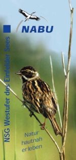 Das NABU-Faltblatt zum Naturschutzgebiet "Westufer Einfelder See" - zur Ansicht auf das Bild klicken!