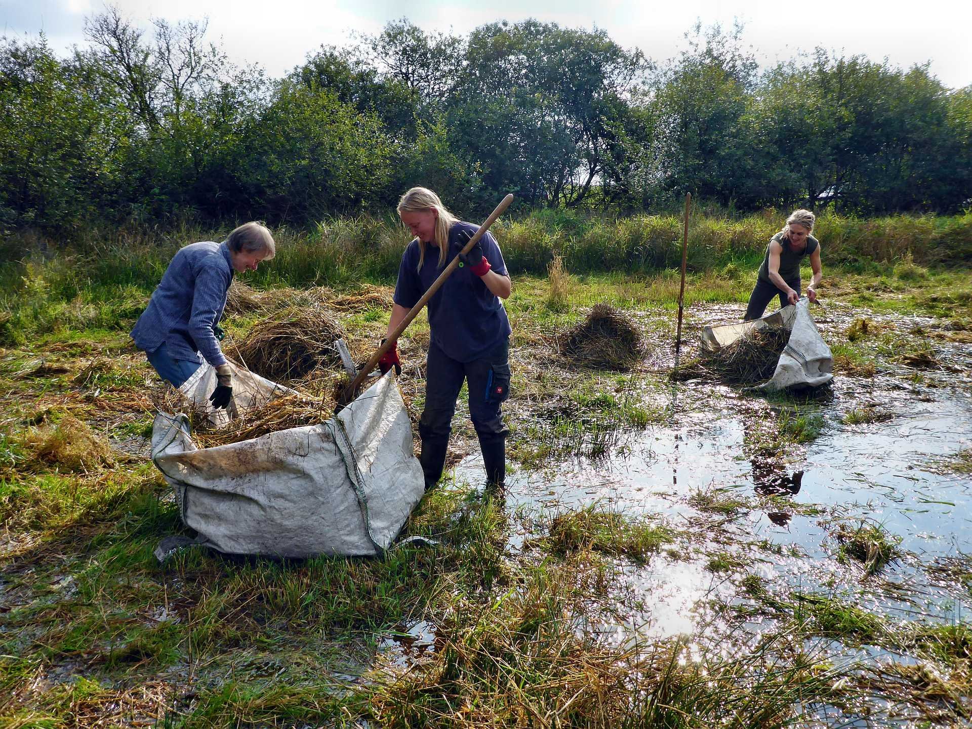 Amphibisches Arbeiten