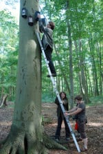 Kontrolle der Fledermauskästen durch Dipl-Biol. Florian Gloza-Rausch vom Fledermauszentrum "Noctalis" in Bad Segeberg.