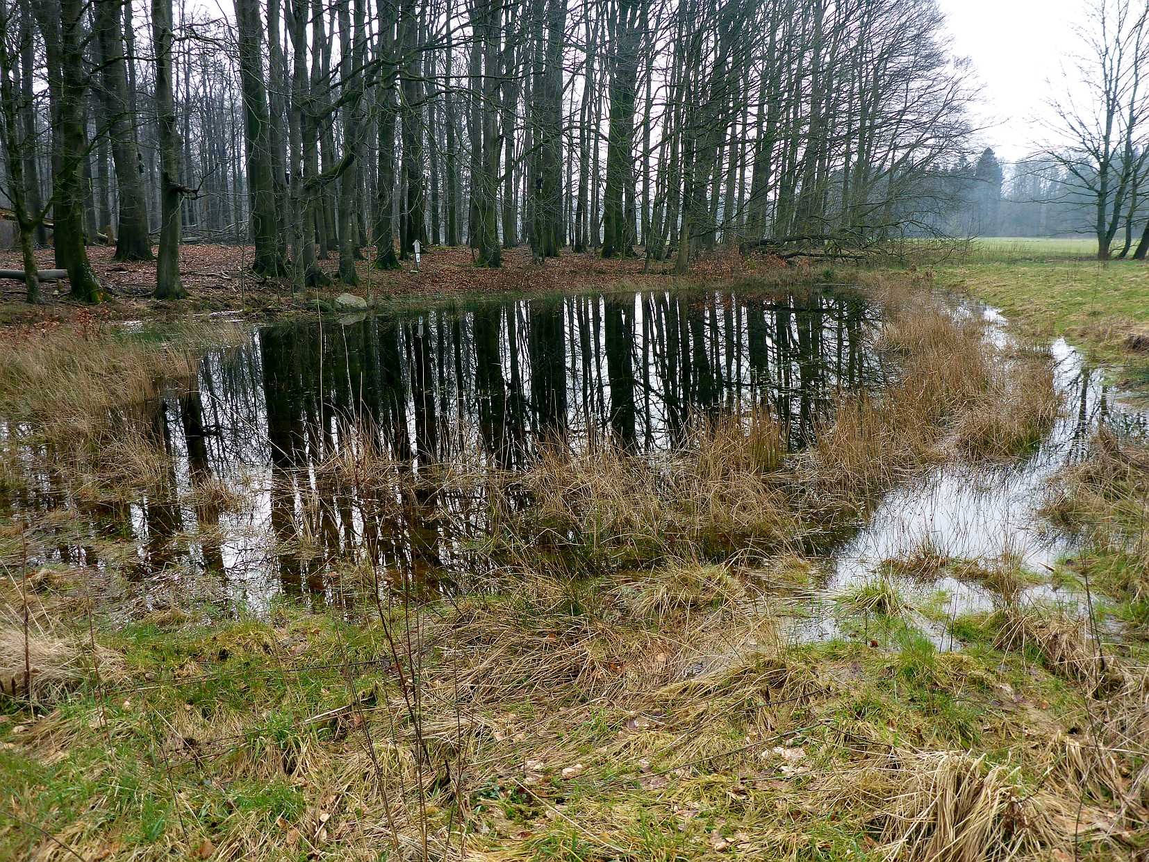 Südlicher Teich im März 2022.