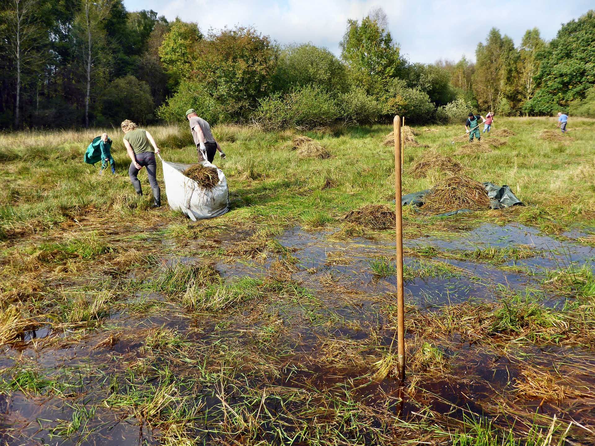 Aber endlich mal von Oben trocken!