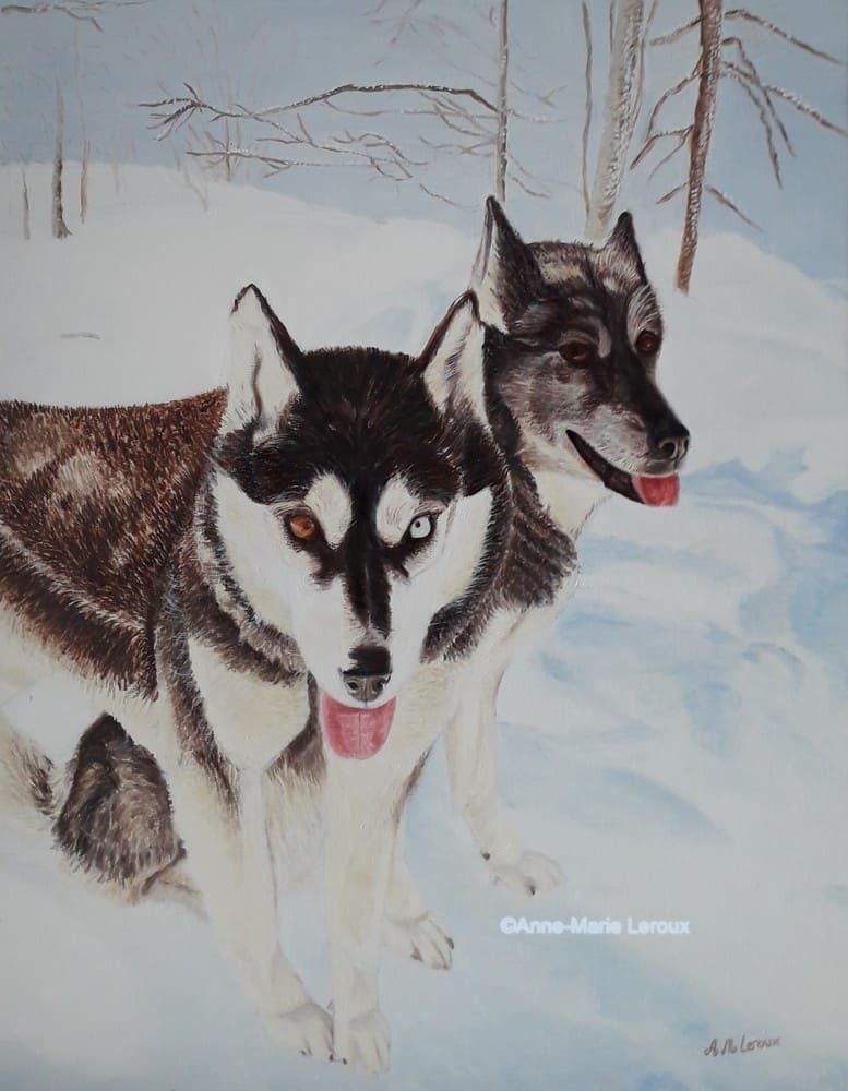 Huskys dans la neige.