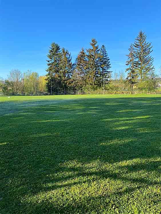 Hundetrainingsplatz Reckenholz in Zürich-Affoltern.