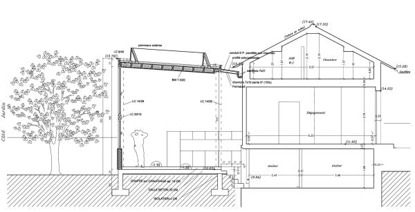 coupe sur l'extension double hauteur avec son toit végétalisé, et la maison