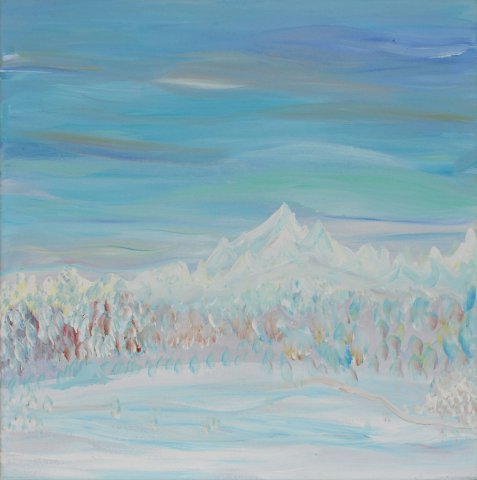 Bild Nr. 56, Format 40/40, Winterlandschaft, Preis Fr. 190.00