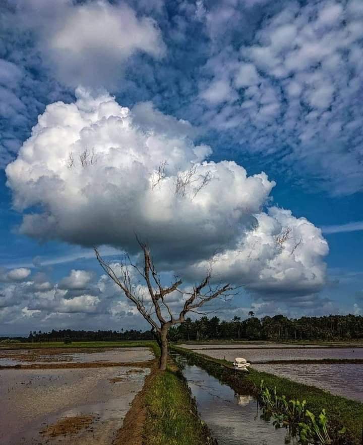 Les piliers de la sagesse.