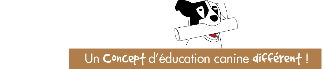 Toutou's Cool, un Centre d'éducation canine unique en Ile de France !