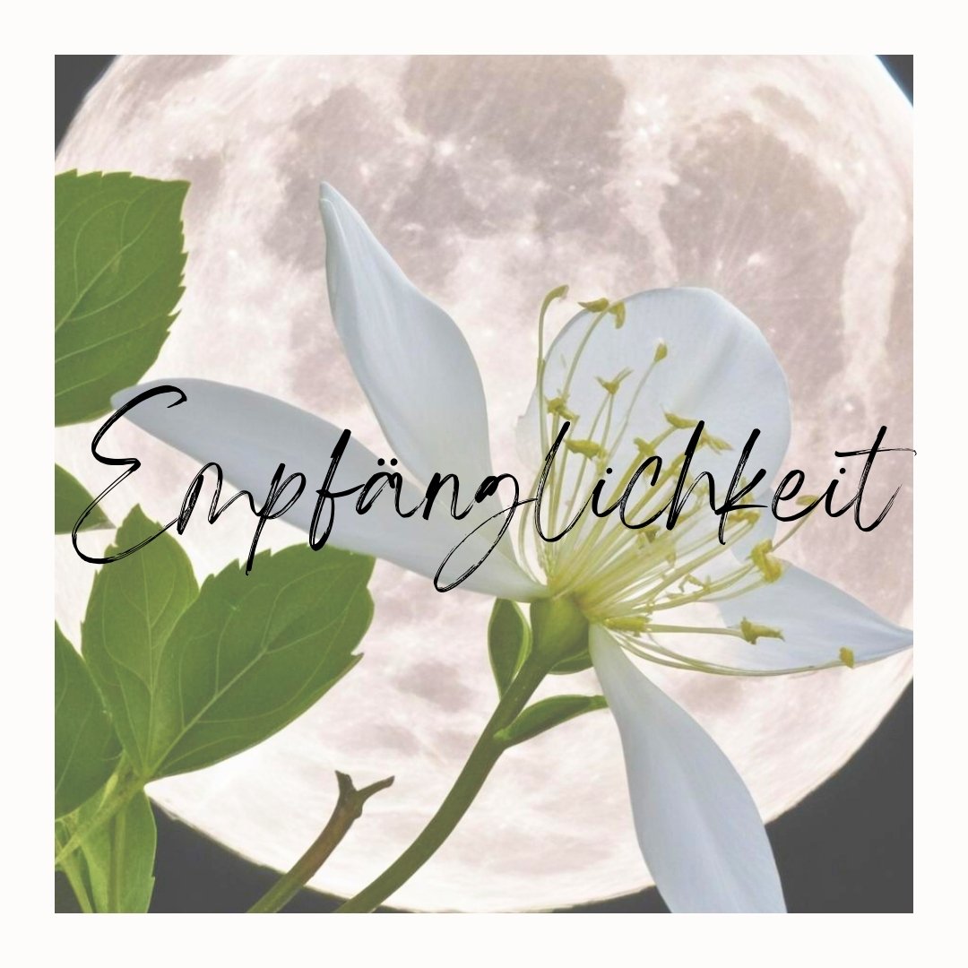 Empfänglichkeit für deine Intuition