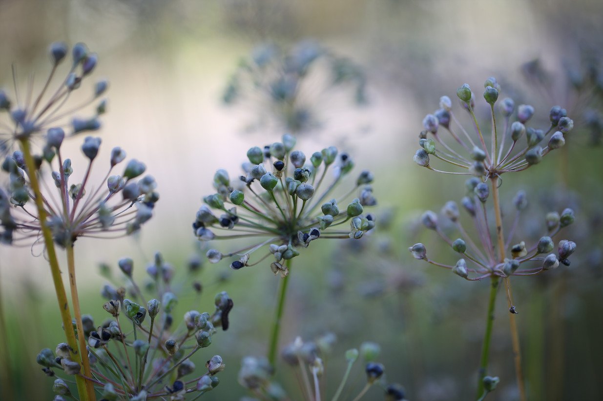 Foto: Matthias Keitel