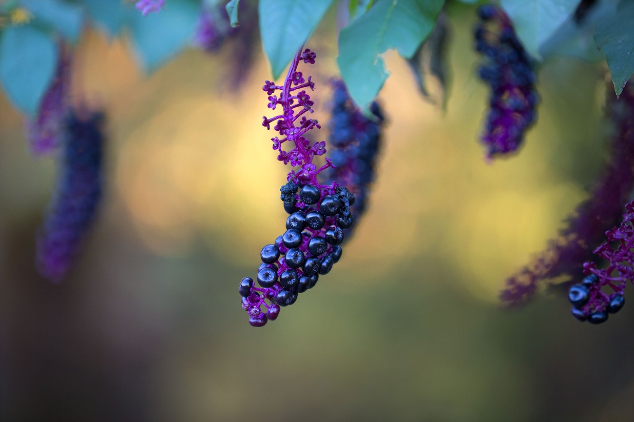 Foto: Matthias Keitel