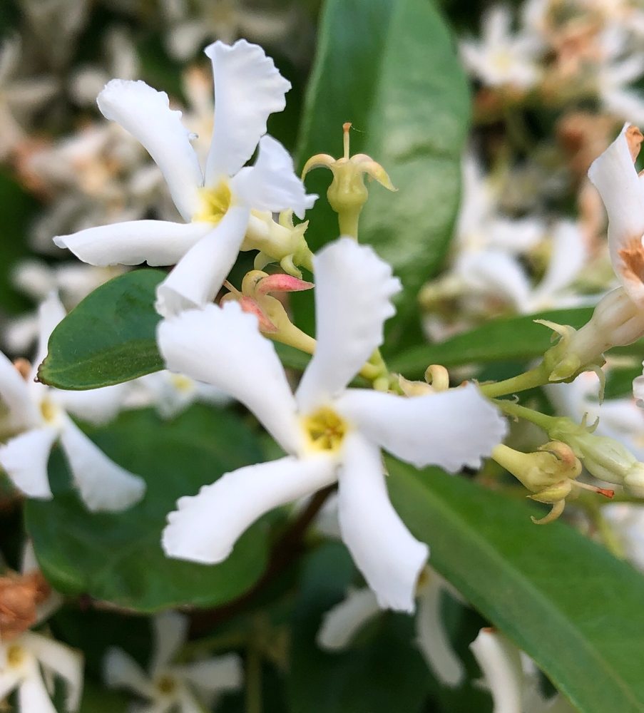 Yasmin nicht nur eine Augenweide