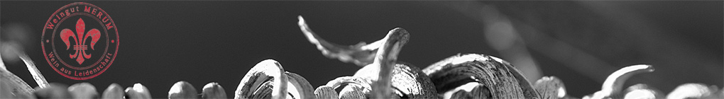 Weingut Merum - Wein aus Leidenschaft