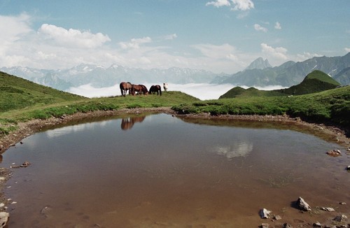 Le laquet prés d'Iseye ( photo Clément google earth)