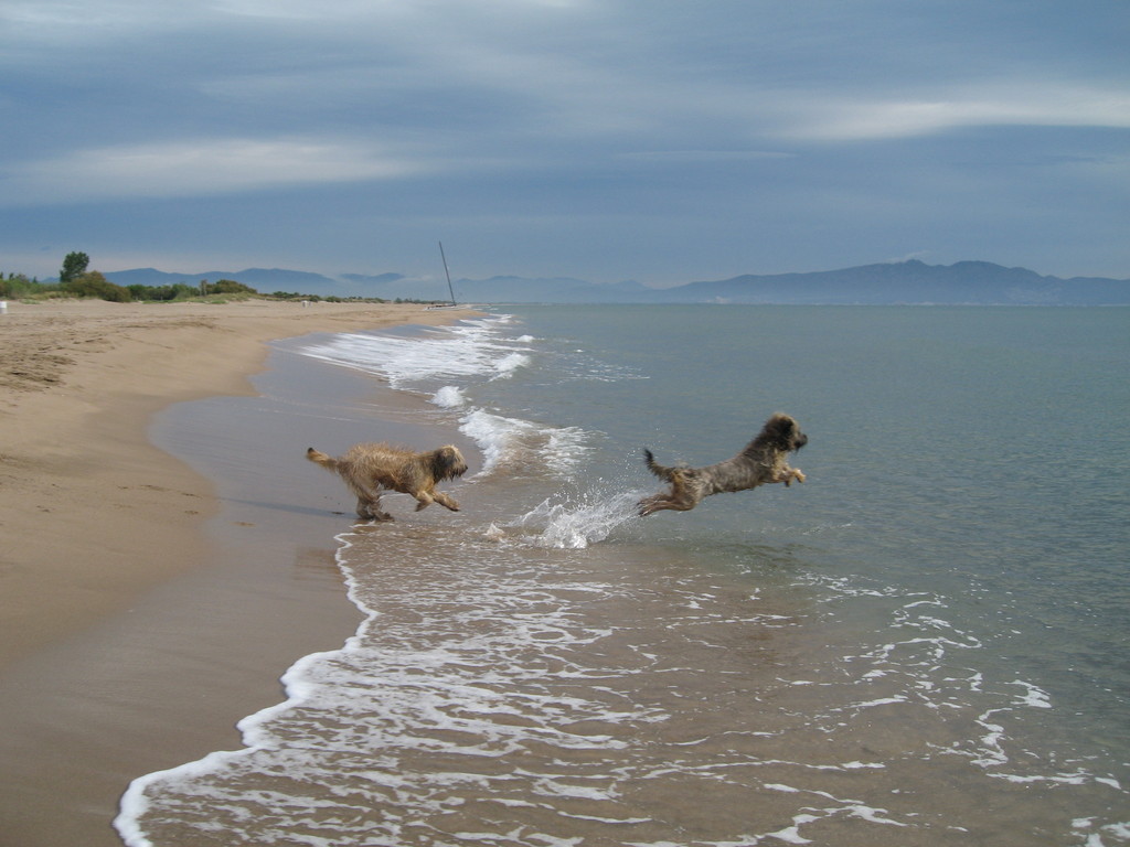 ...über den Wellen muss die Freiheit wohl grenzenlos sein