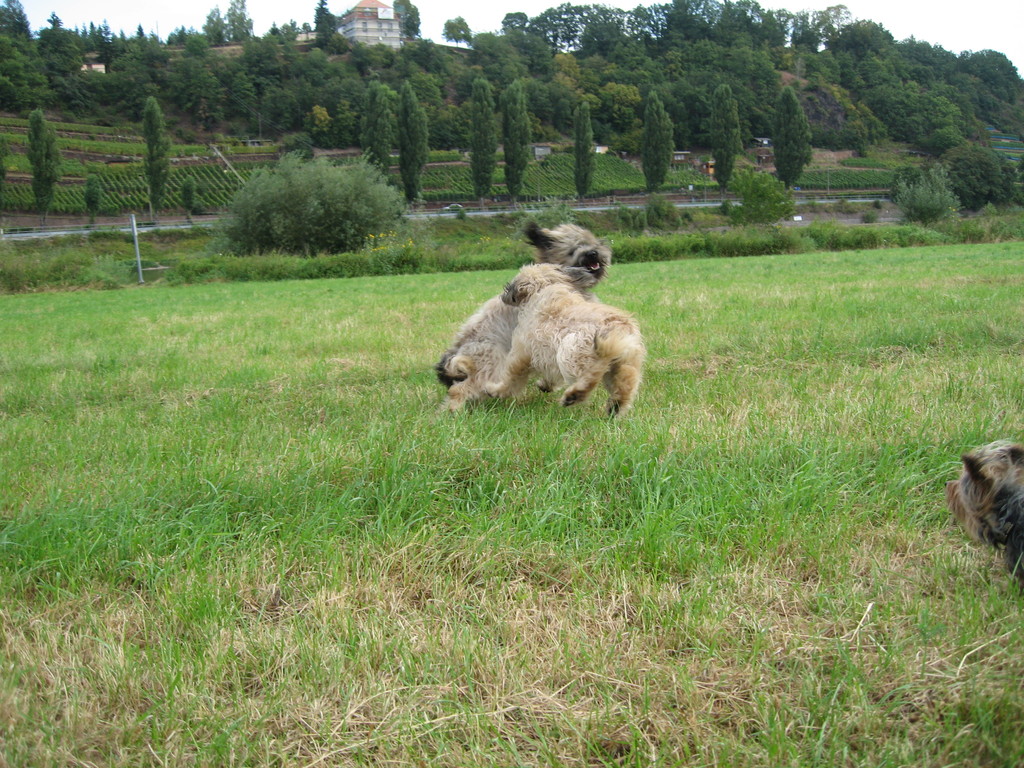 jetzt toben wir uns mal richtig aus...