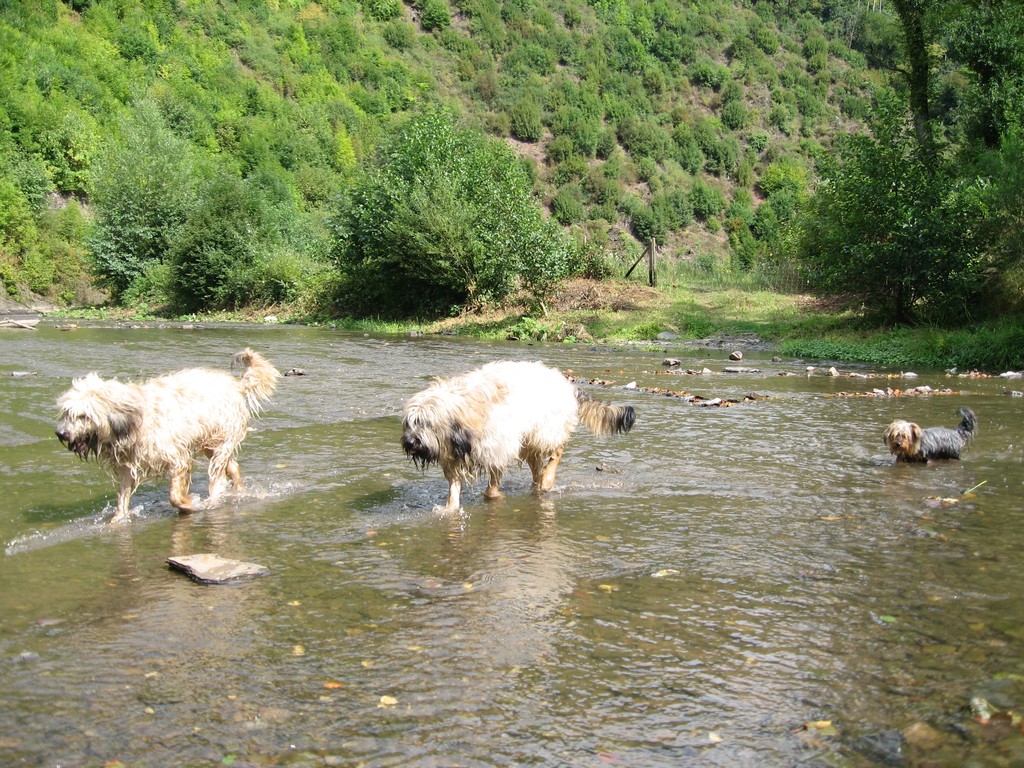 kleine Abkühlung gefällig??