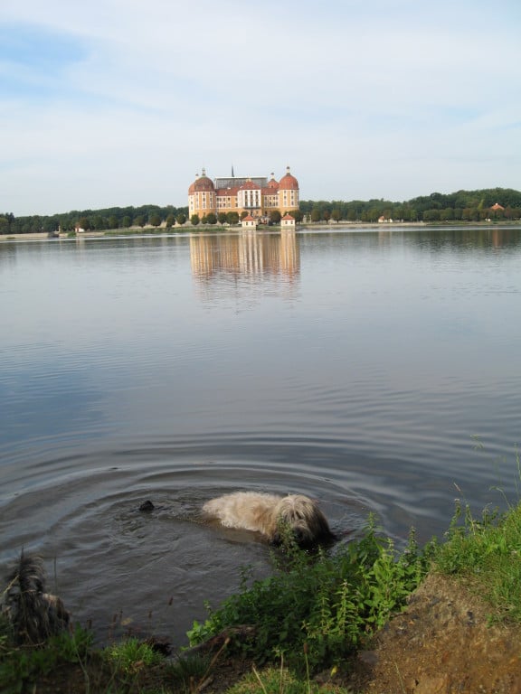 Moritzburg