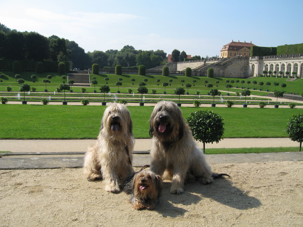 hier feiern wir Hochzeit