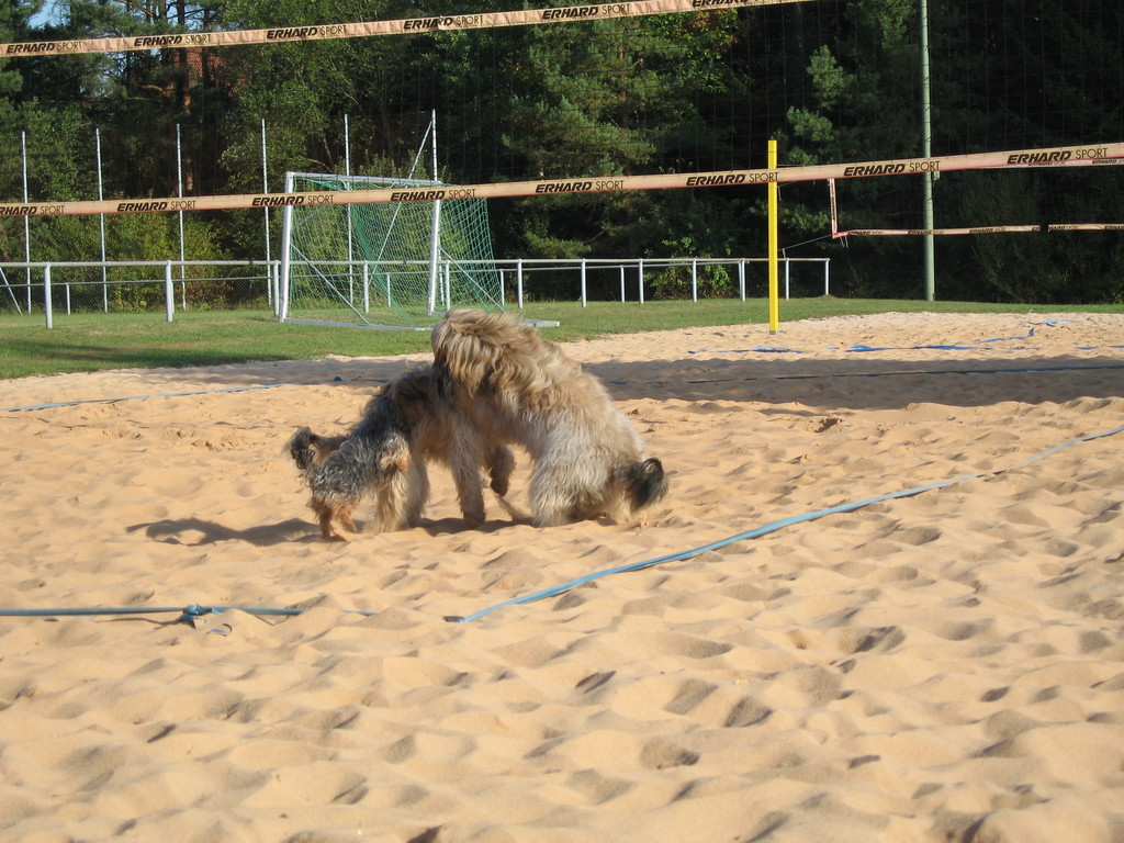 Dreierteam: Paula, Ben und Tamie