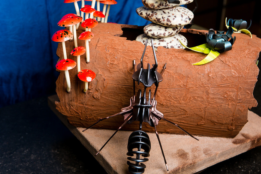 Vanessa Schnyder 3. Gesamtrang Swiss Chocolat Masters 2013 in Bern, Ameise aus Schokolade
