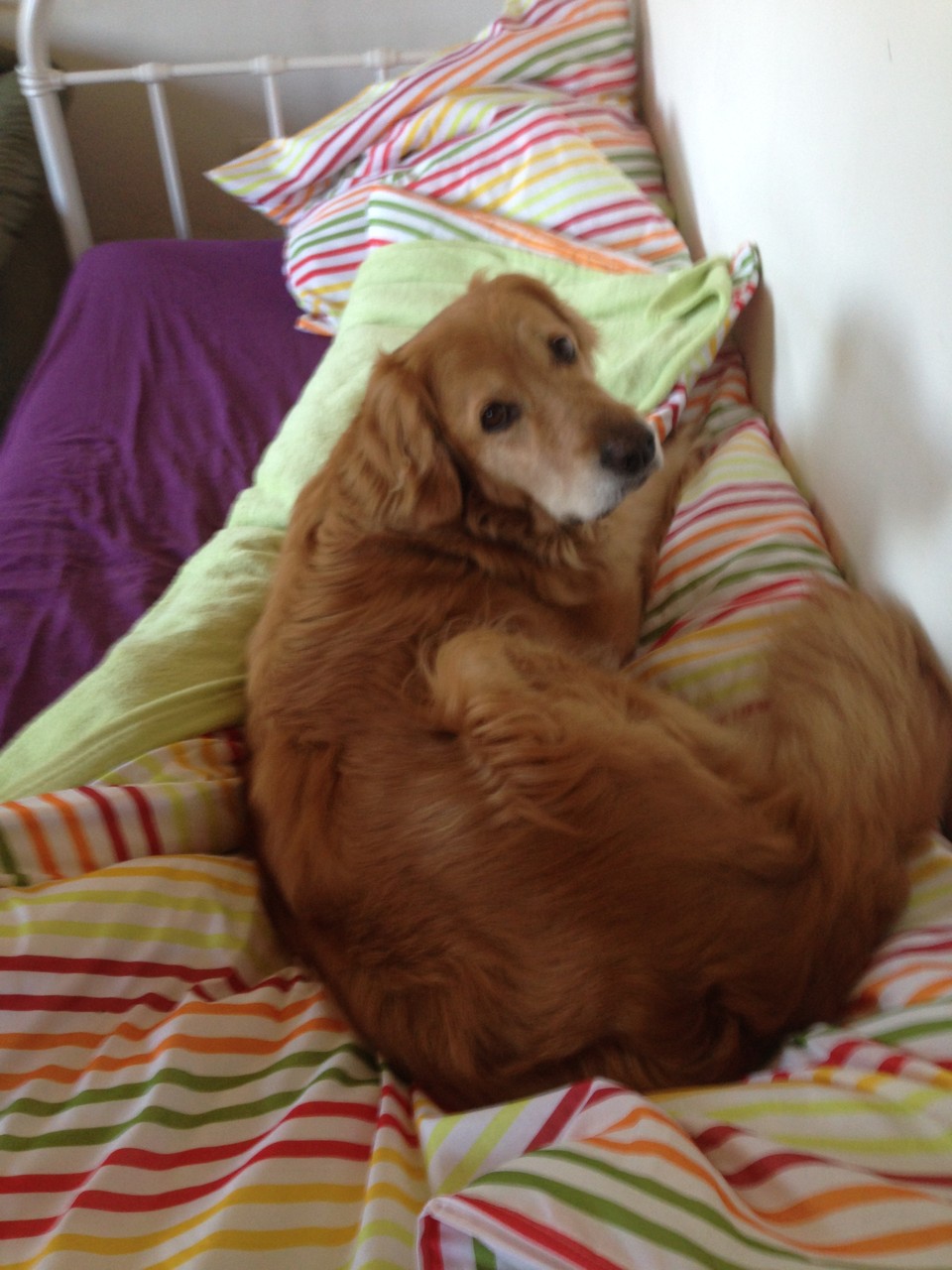 Thaler übt sich als Krankneschwester, während die Söhne sich in Haltern tummeln