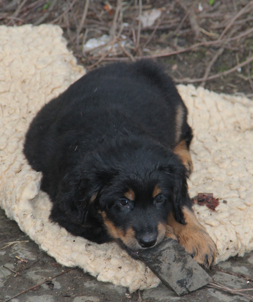 es findet sich immer etwas, das man inspizieren muss...